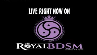 Live right now on RoyalBDSM