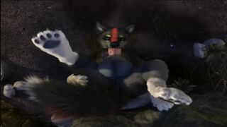 KAGE FURRY YIFF PORN ANIMATION