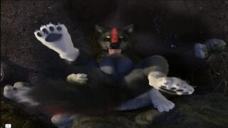 KAGE FURRY YIFF PORN ANIMATION