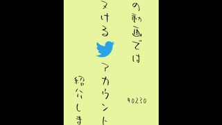 #0230 Twitterのエロ垢を紹介する