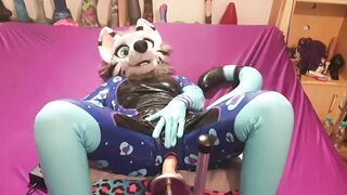 snep gets fucked