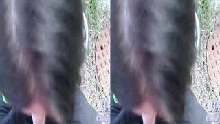 3D POV blowjob in park. Perfect  cocksucker without bra take mouthful.