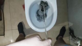 Dad wolf Peeing #1