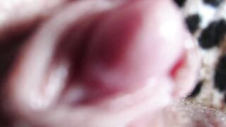 extreme close up clitoris