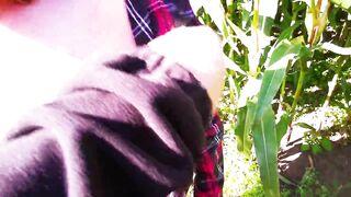 Torment her tits in cornfield