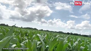 MyDirtyHobby - Slutty Teen Barbie_Brilliant Walks In The Corn Field Looking For A Nice Cock To Ride