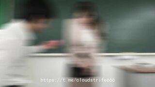 PMV-Japanese teachers