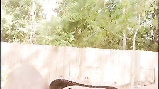 Putting on a show for neighbor’s camera in backyard. Up close pussy orgasm